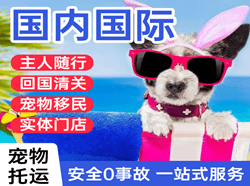 乌兰浩特义勒力特机场快递国际宠物托运 【国